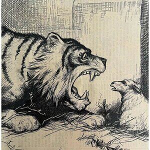 Thomas Nast Democratic Tiger Reform 1876 Victorian Woodcut Engraving LGBinTN2